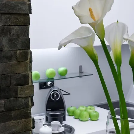 Appartement Silicon Valley