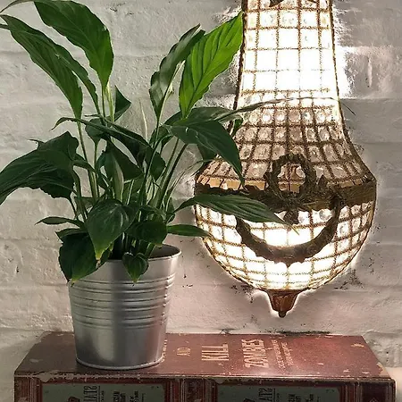 Silicon Valley Apartamento Belgrado